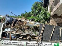 Best Same-Day Junk Removal Services  in Bear, DE